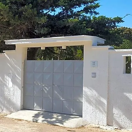Le Thuje